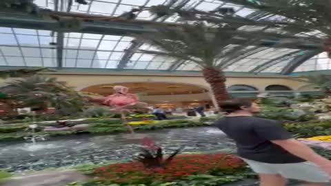 Bellagio Conservatory Summer 2026 | Paradise: Nature's Most Beautiful Creations